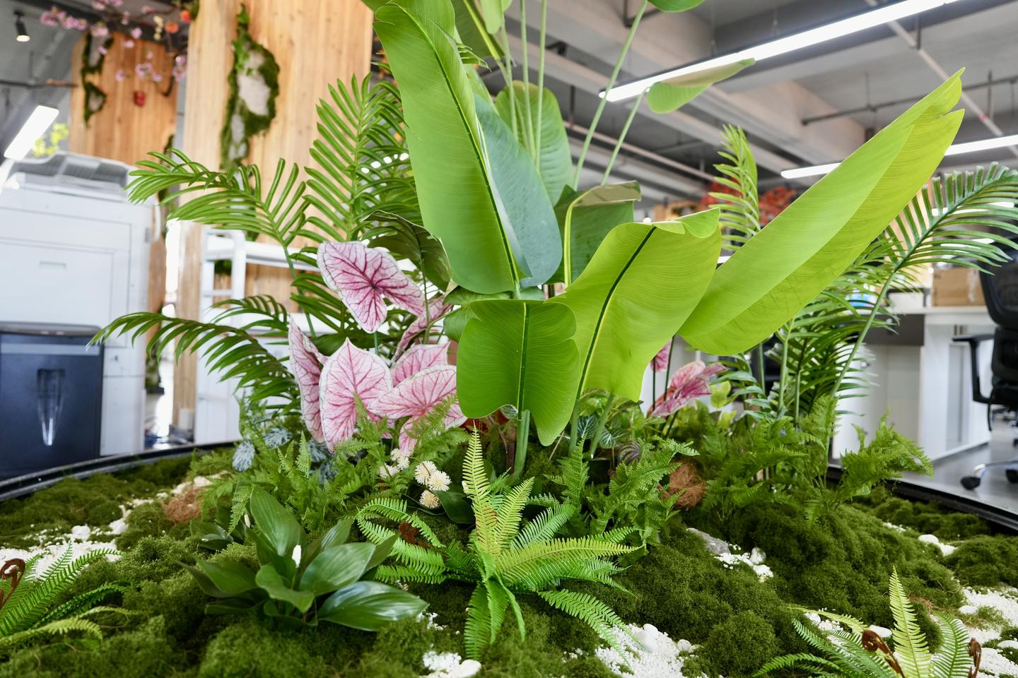 怿星科技桂林子公司乔迁新址，于山水画中开启研发新篇章(图10)